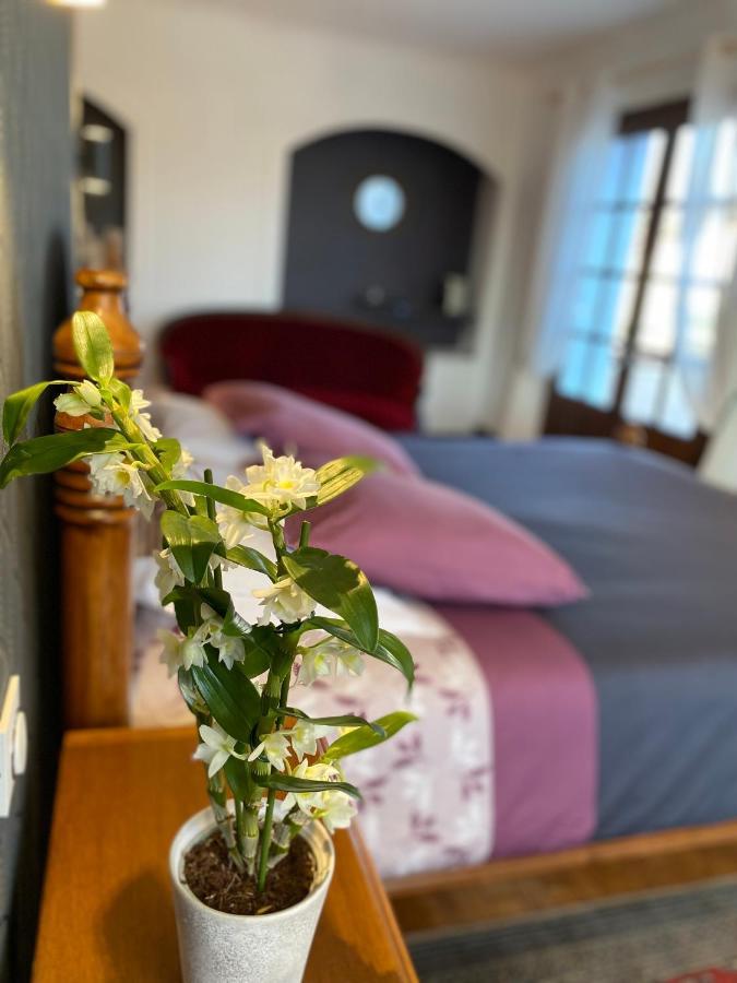 Domaine De La Provencale Bed and Breakfast Saint-Didier-de-la-Tour Exteriör bild